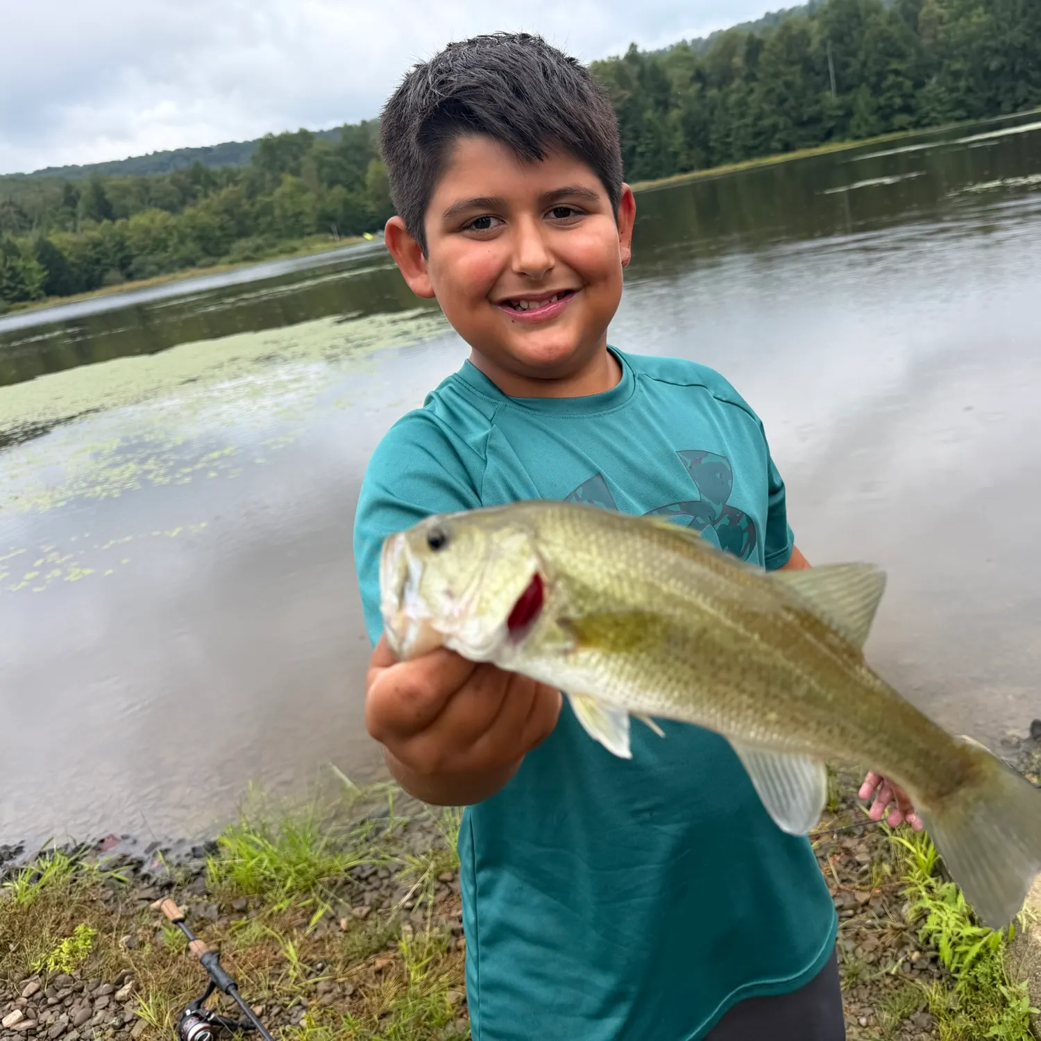 Spotted bass caught on Fishbrain