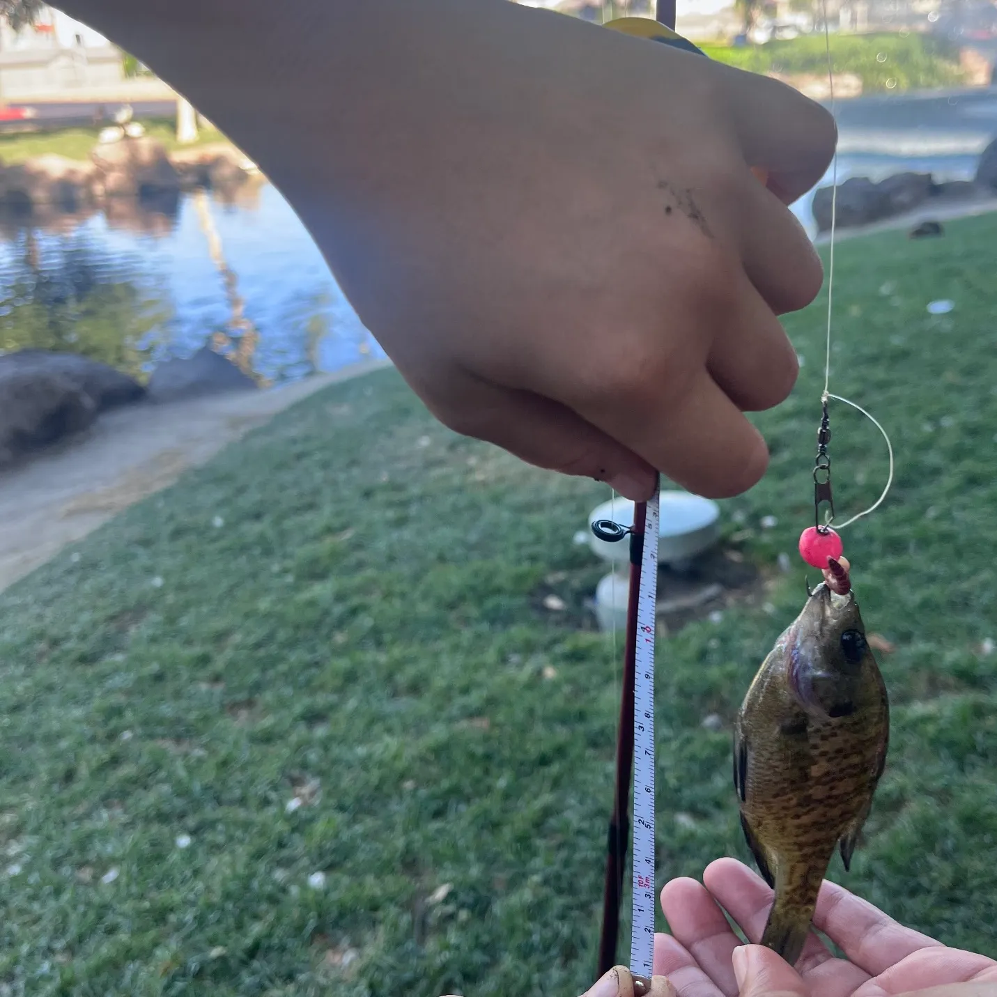 catch