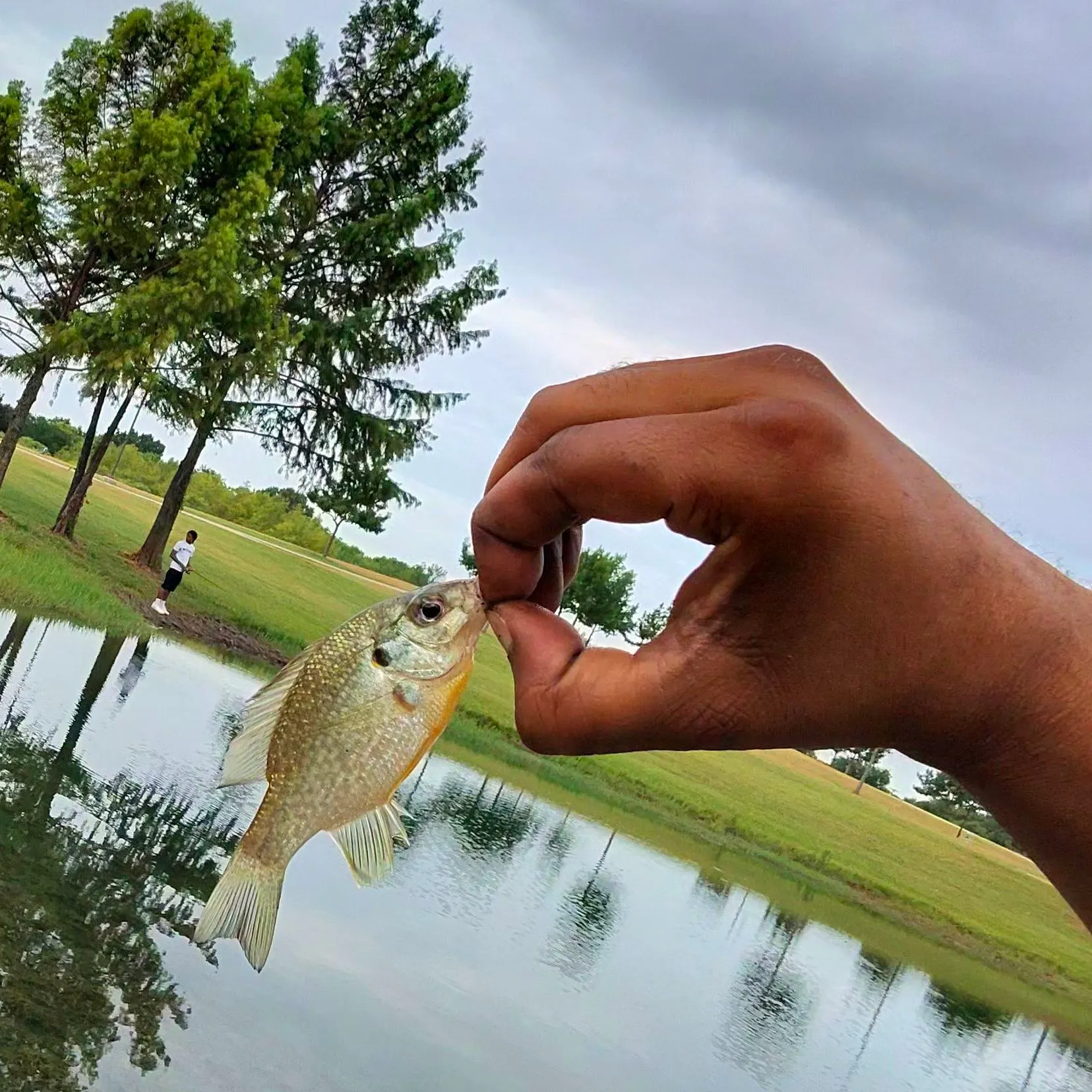 catch