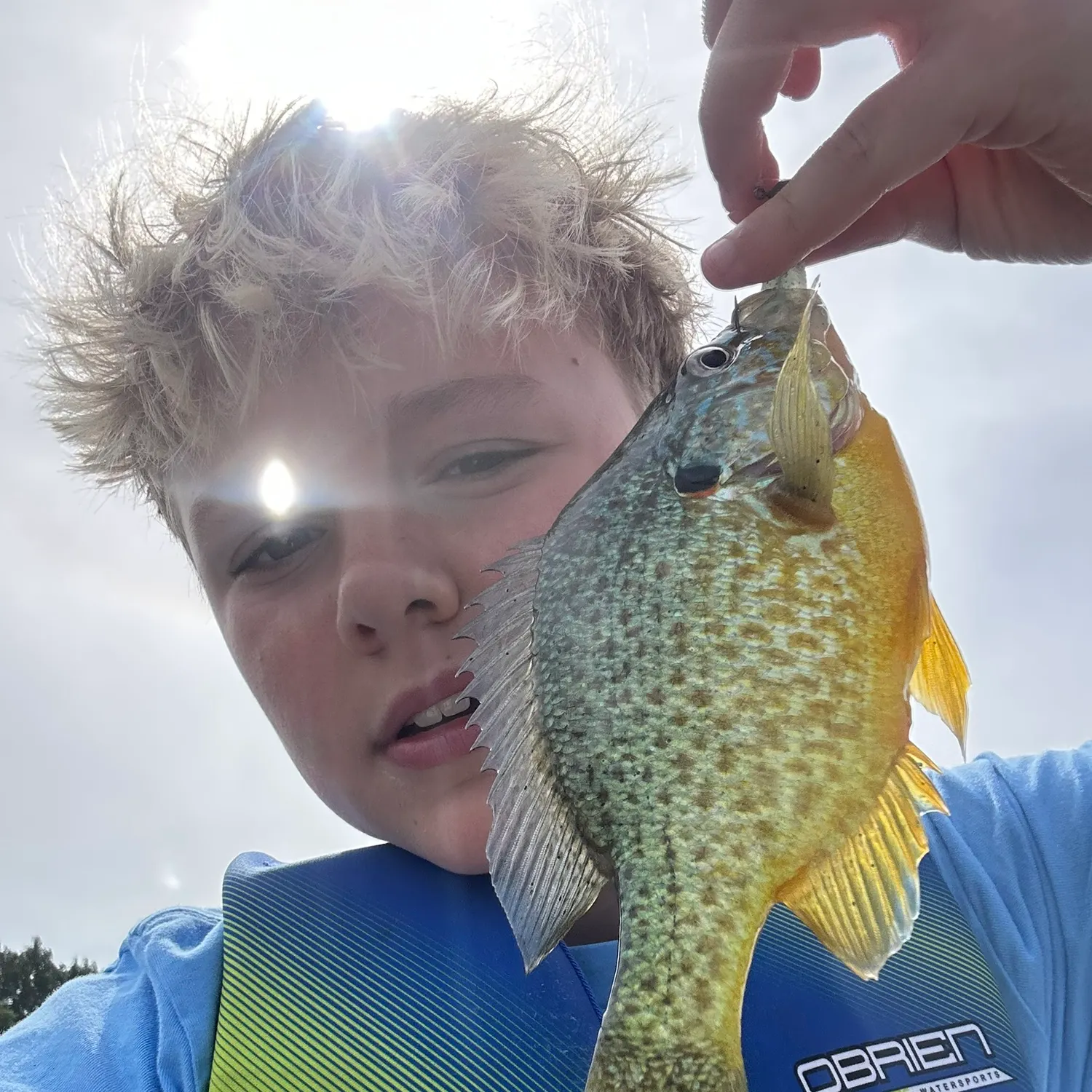 Pumpkinseed caught on Fishbrain