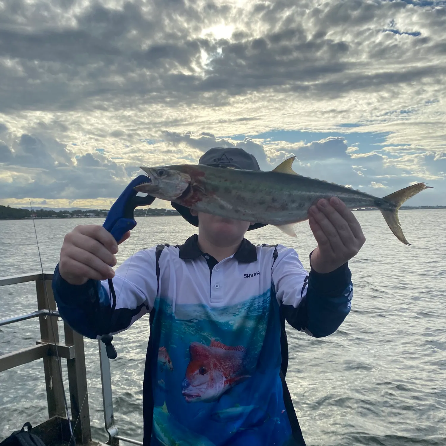 most liked catch image