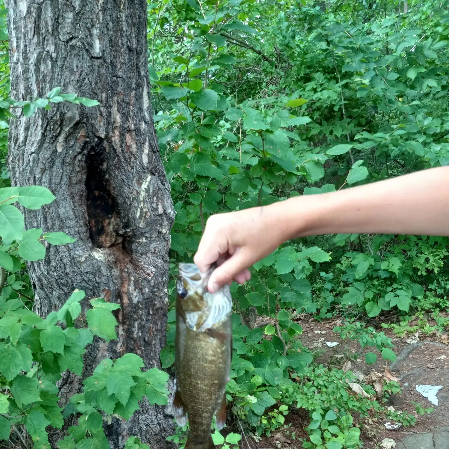 catch