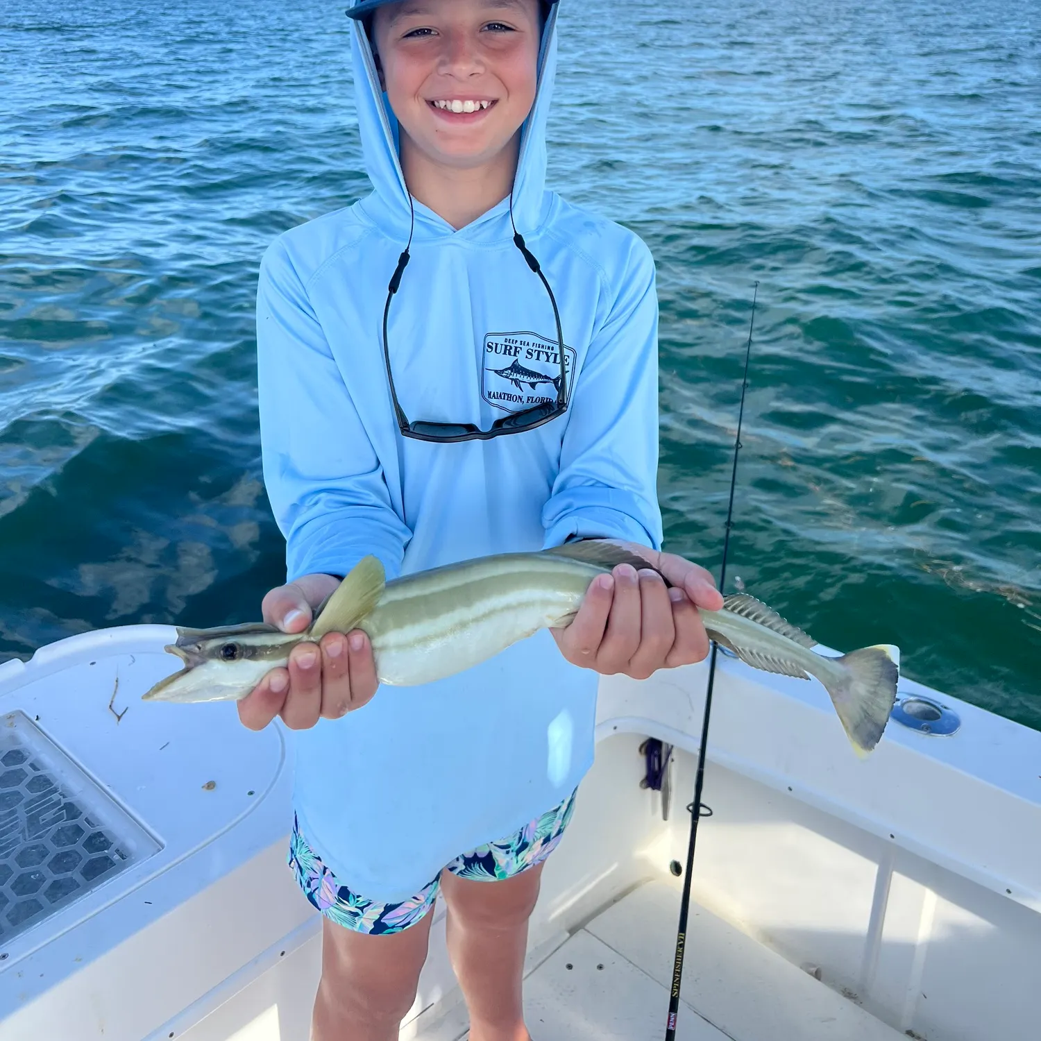 The most recent Common remora catches on Fishbrain