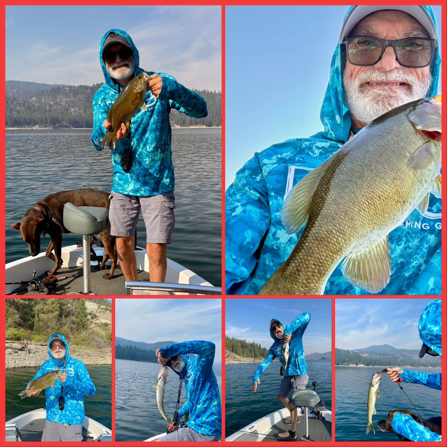 Smallmouth bass caught on Fishbrain