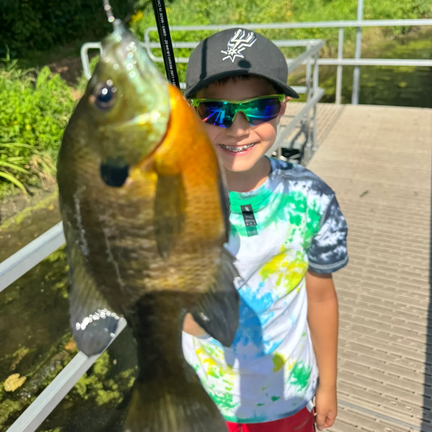 Bluegill caught on Fishbrain