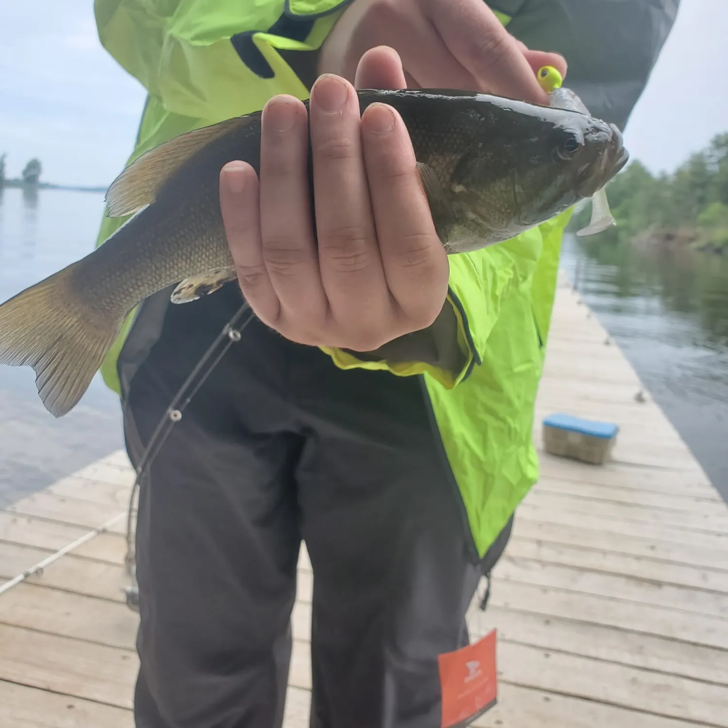 Smallmouth bass caught on Fishbrain