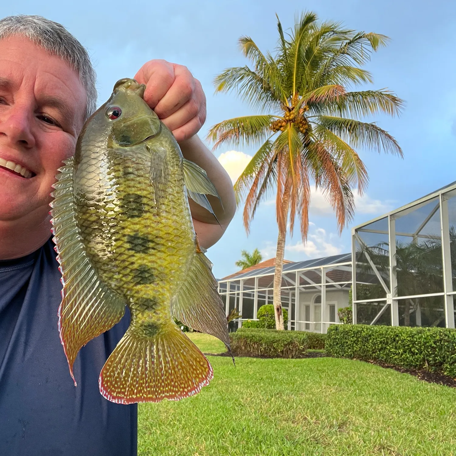 The most recent Spotted tilapia catches on Fishbrain