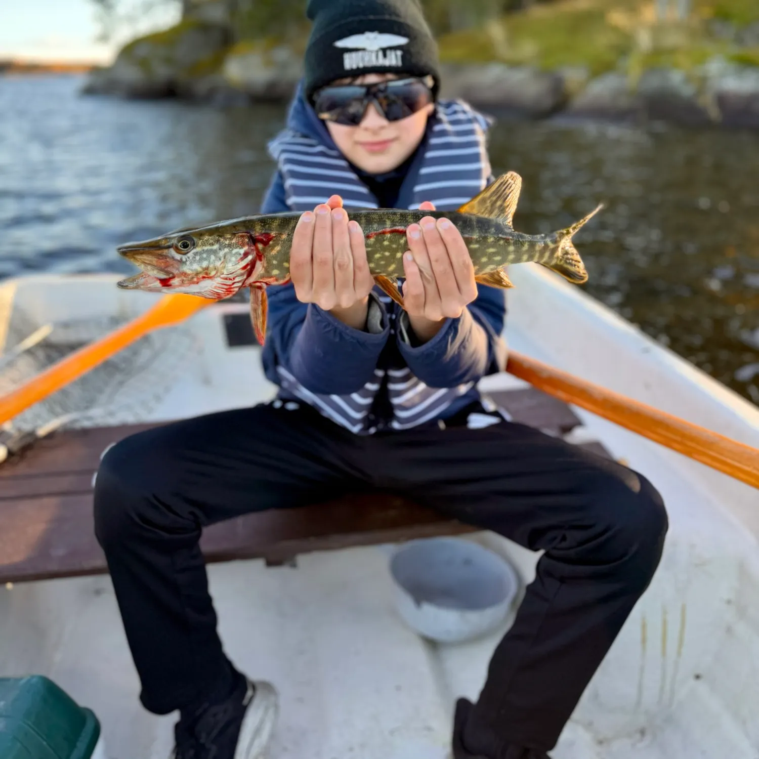 Northern pike caught on Fishbrain