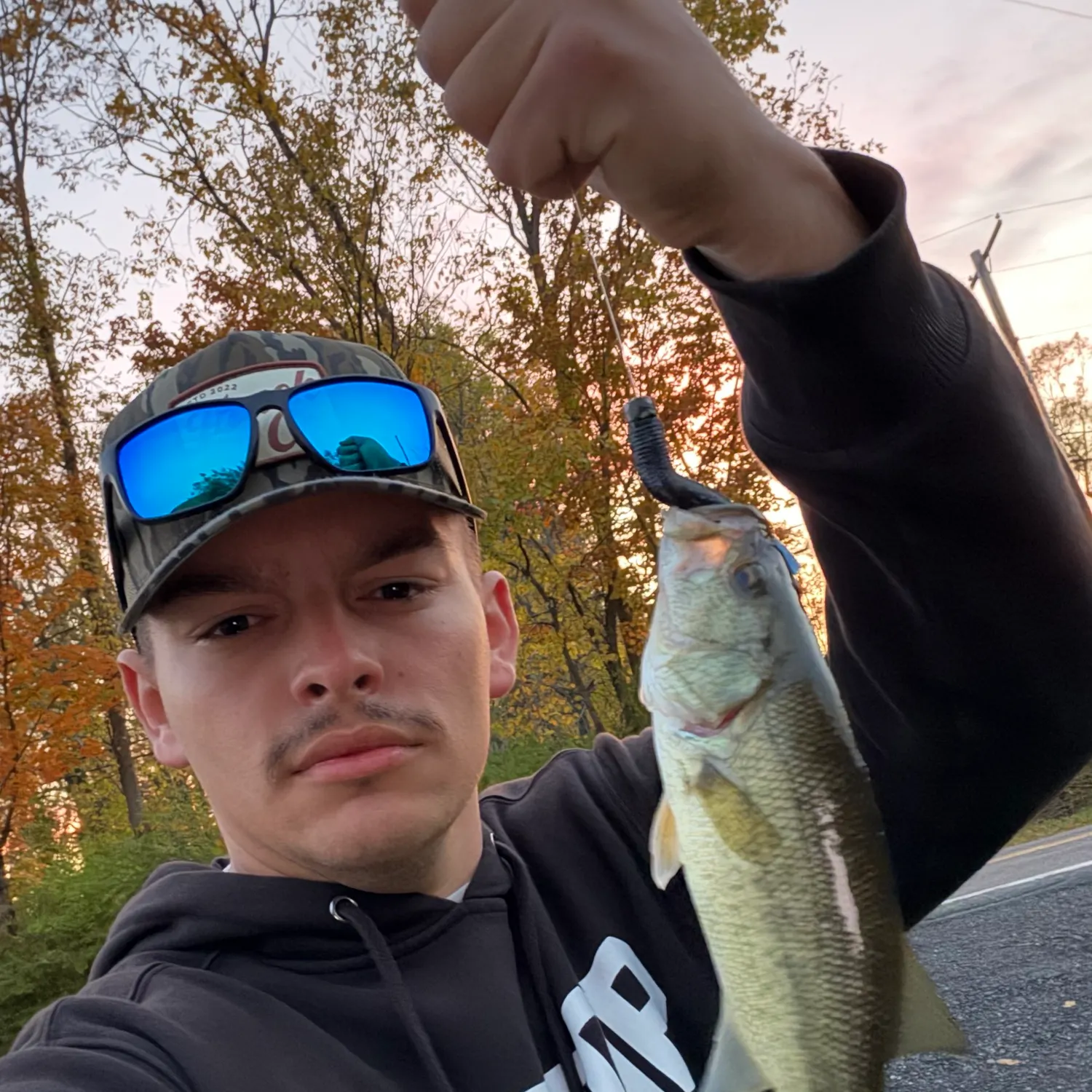 Largemouth bass caught on Fishbrain