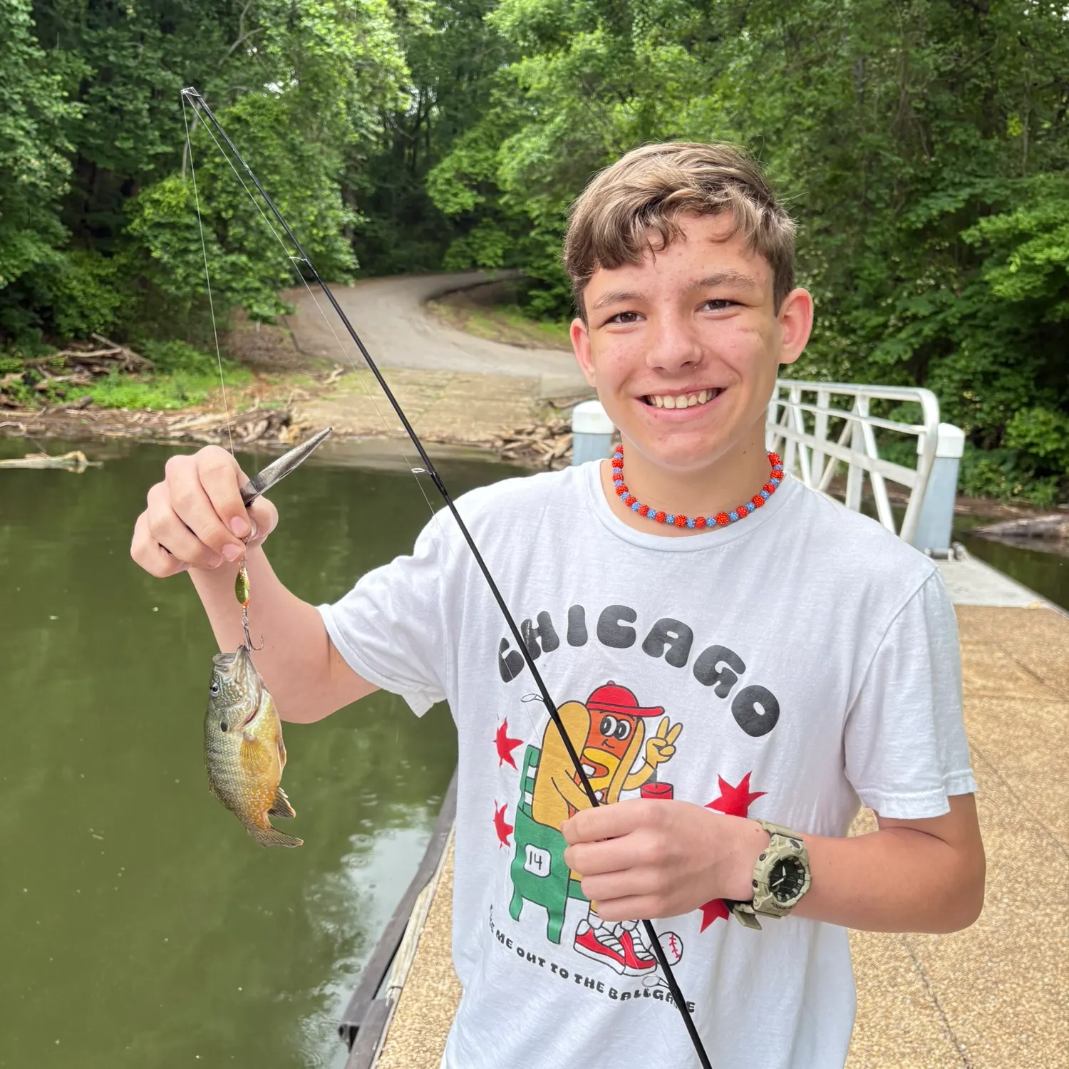 recently logged catches