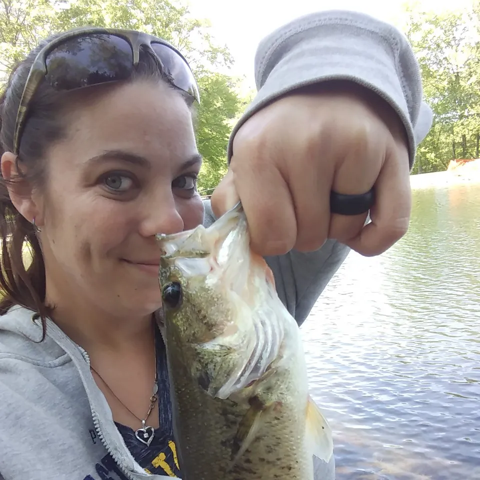 angler catch