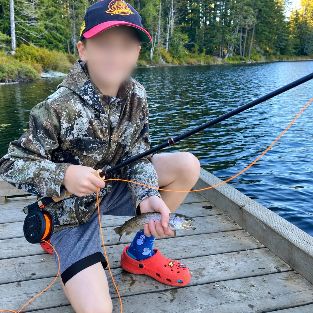 Rainbow trout caught on Fishbrain