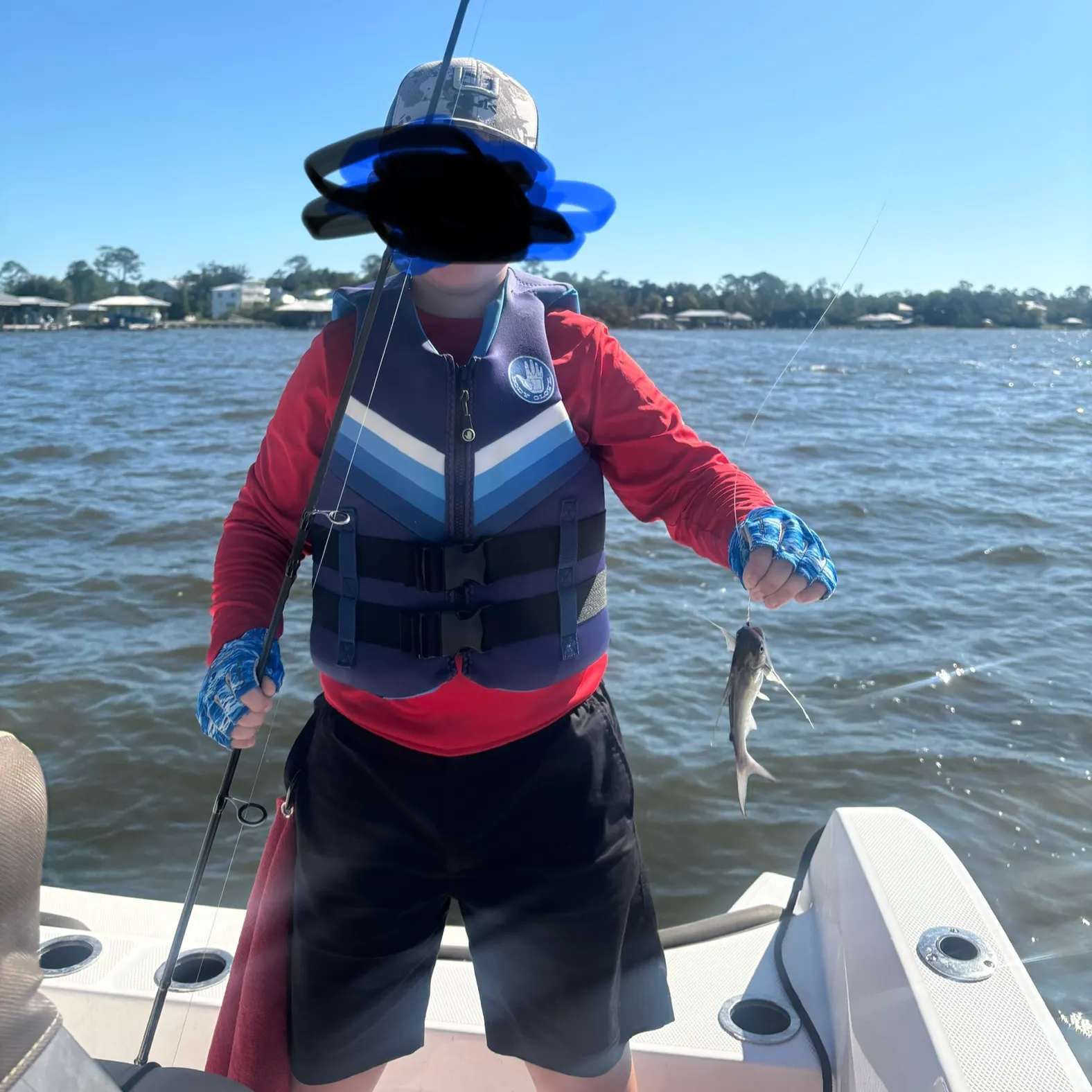 The most recent Gafftopsail sea catfish catches on Fishbrain