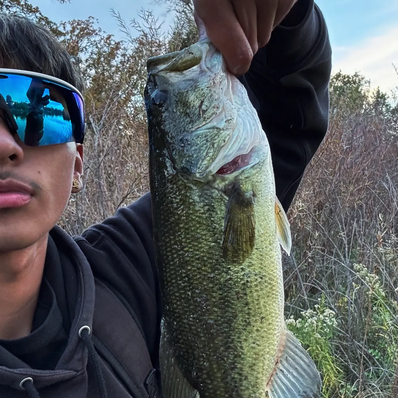 Largemouth bass caught on Fishbrain