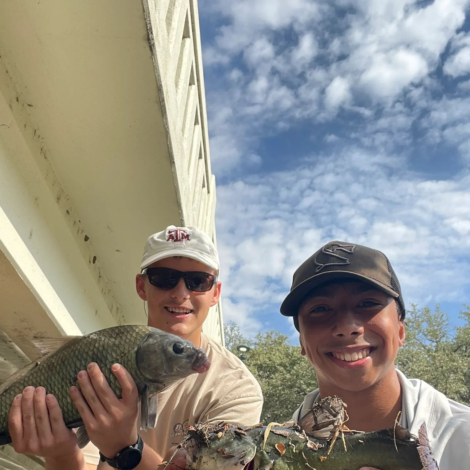 The most recent Bigmouth buffalo catches on Fishbrain