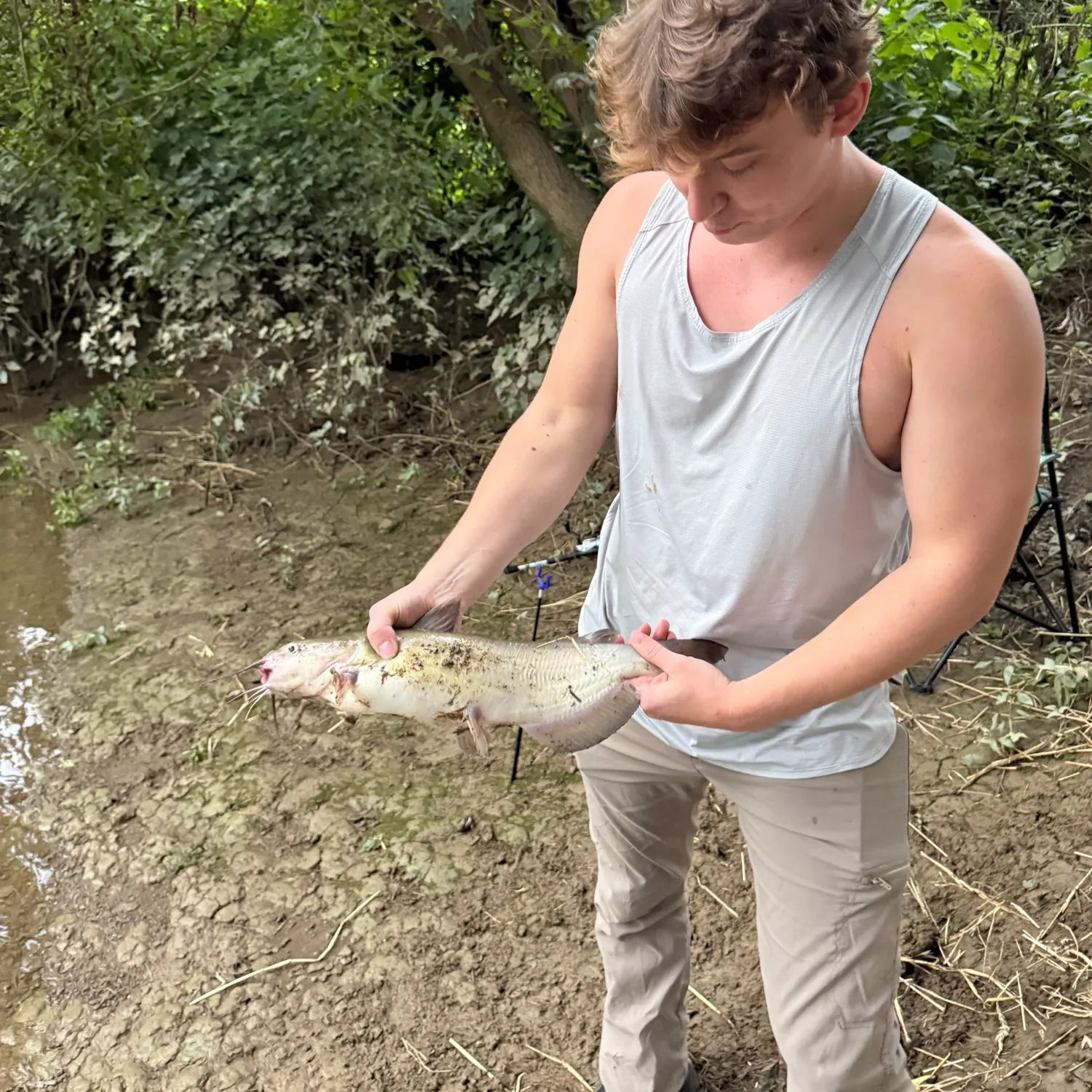 Channel catfish caught on Fishbrain