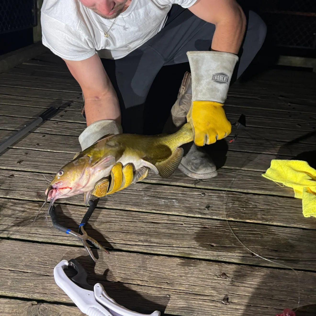 catch