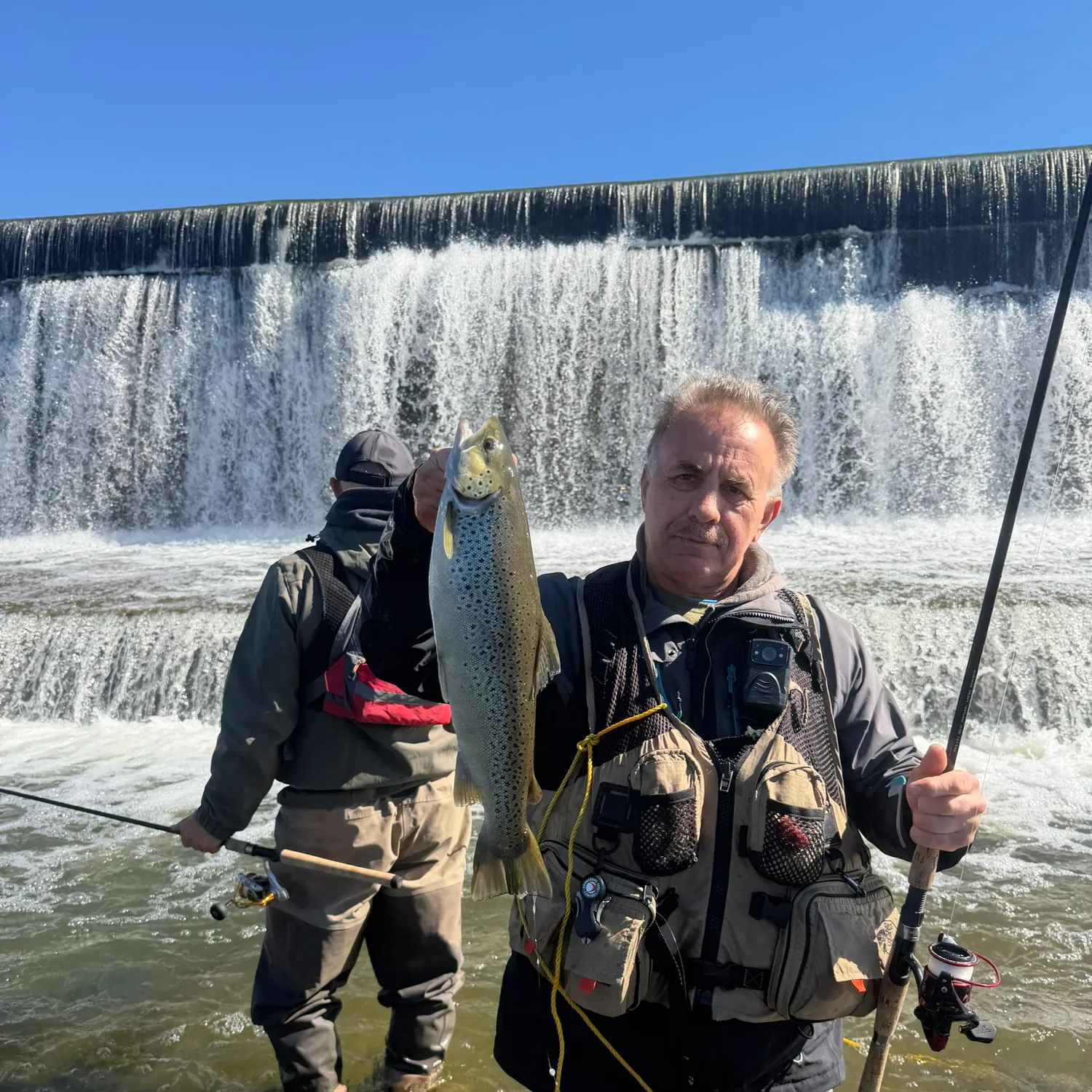 Brown trout caught on Fishbrain