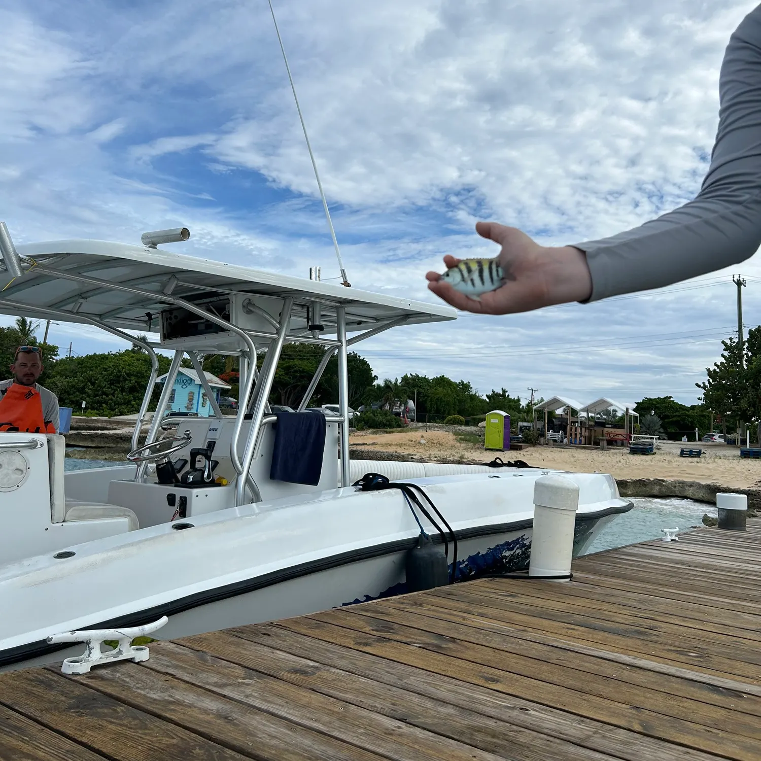 The most recent Sergeant-major catches on Fishbrain