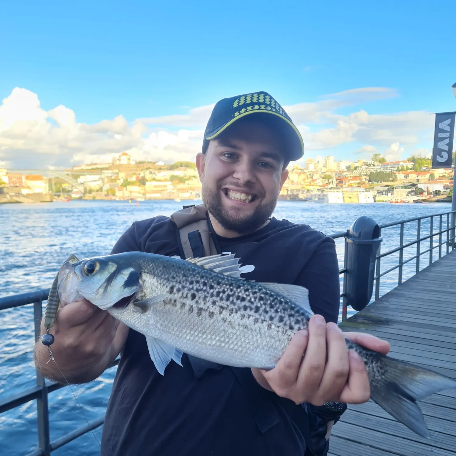 The most recent Spotted seabass catches on Fishbrain