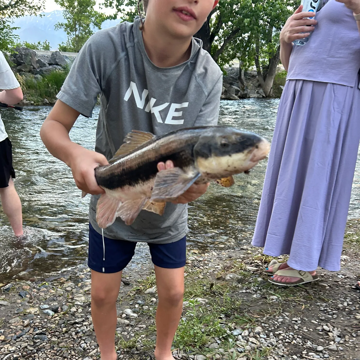 The most recent June sucker catches on Fishbrain