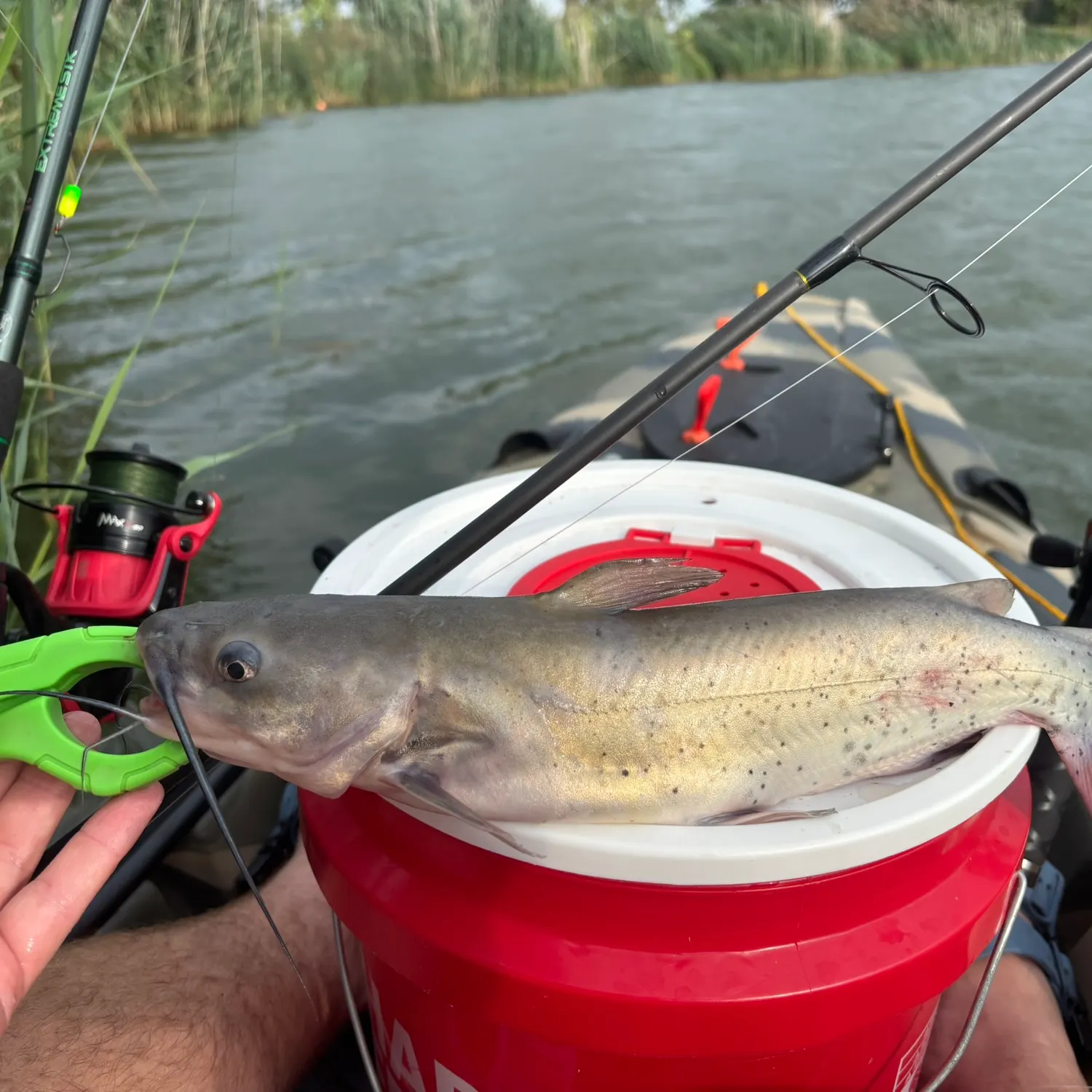 catch