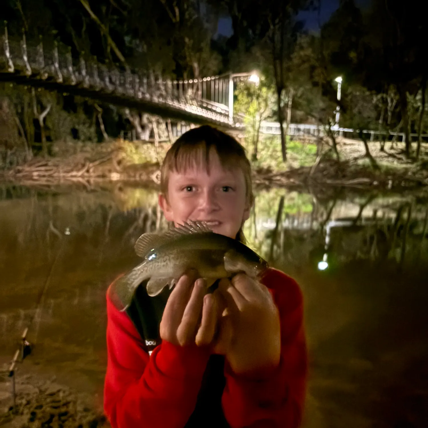 The most recent Trout cod catches on Fishbrain