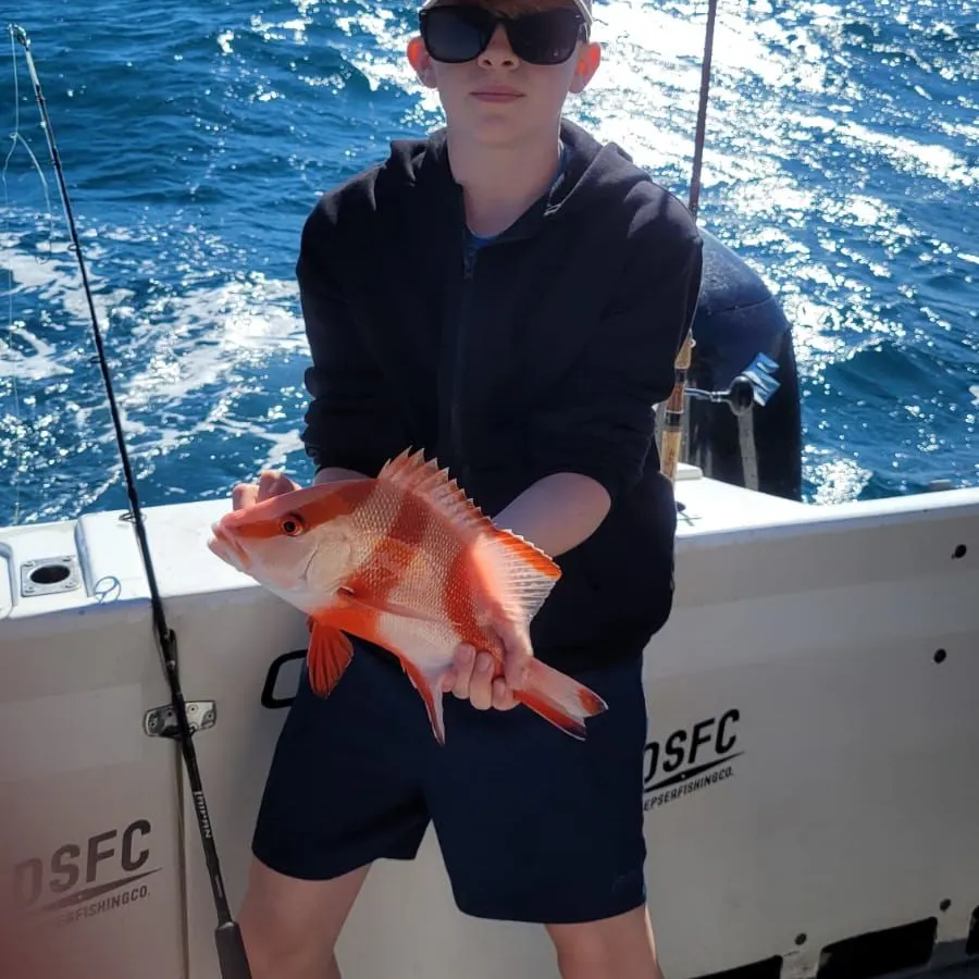 The most recent Emperor red snapper catches on Fishbrain
