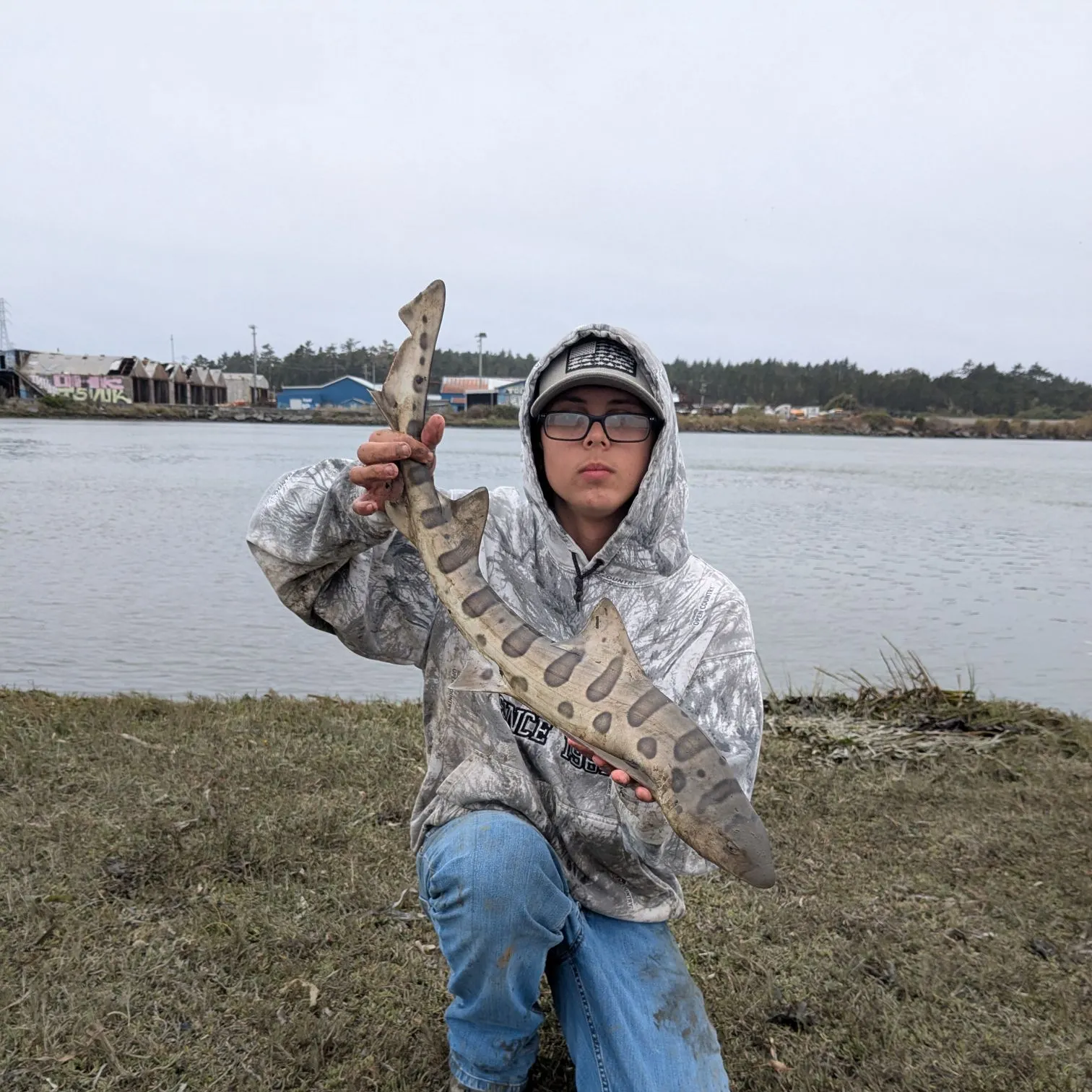 The most recent Leopard shark catches on Fishbrain