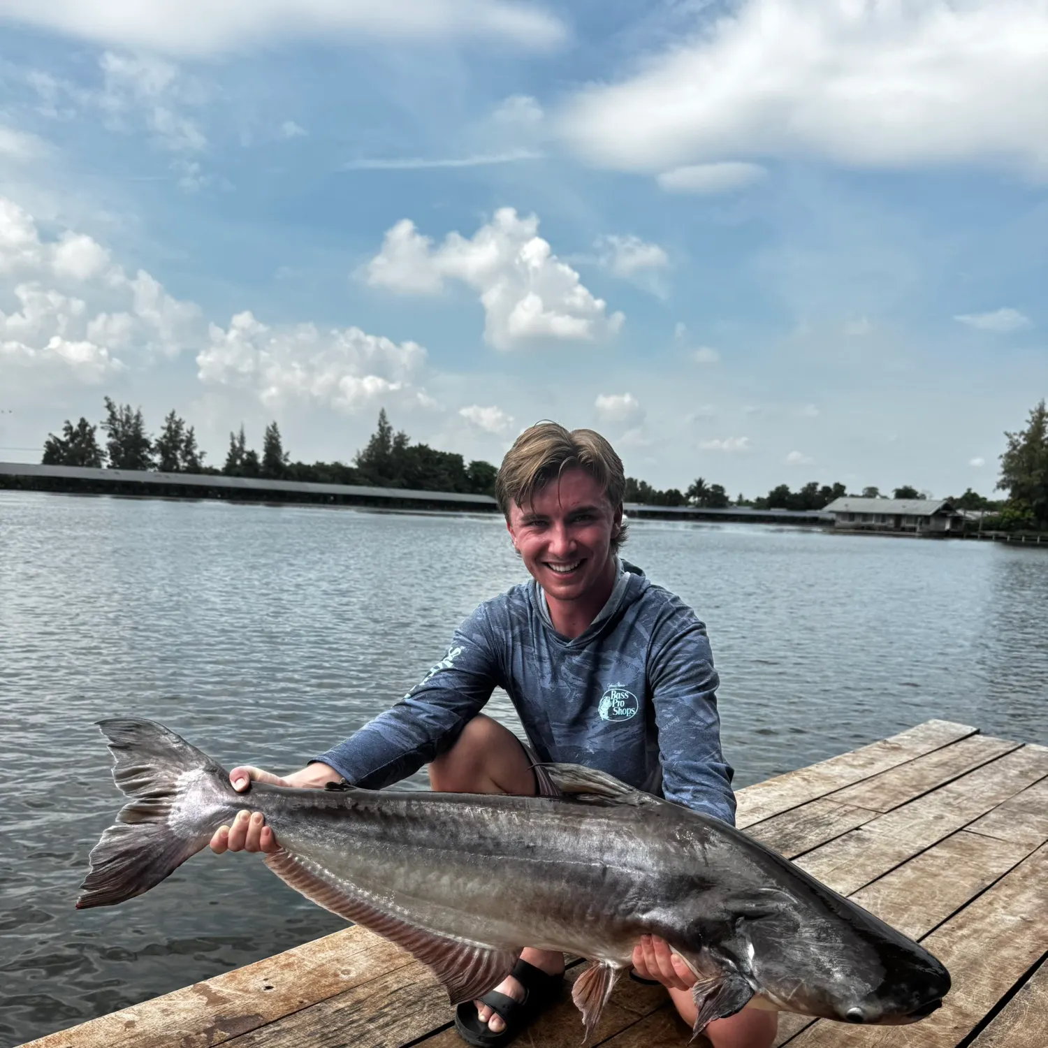 The most recent Striped catfish catches on Fishbrain