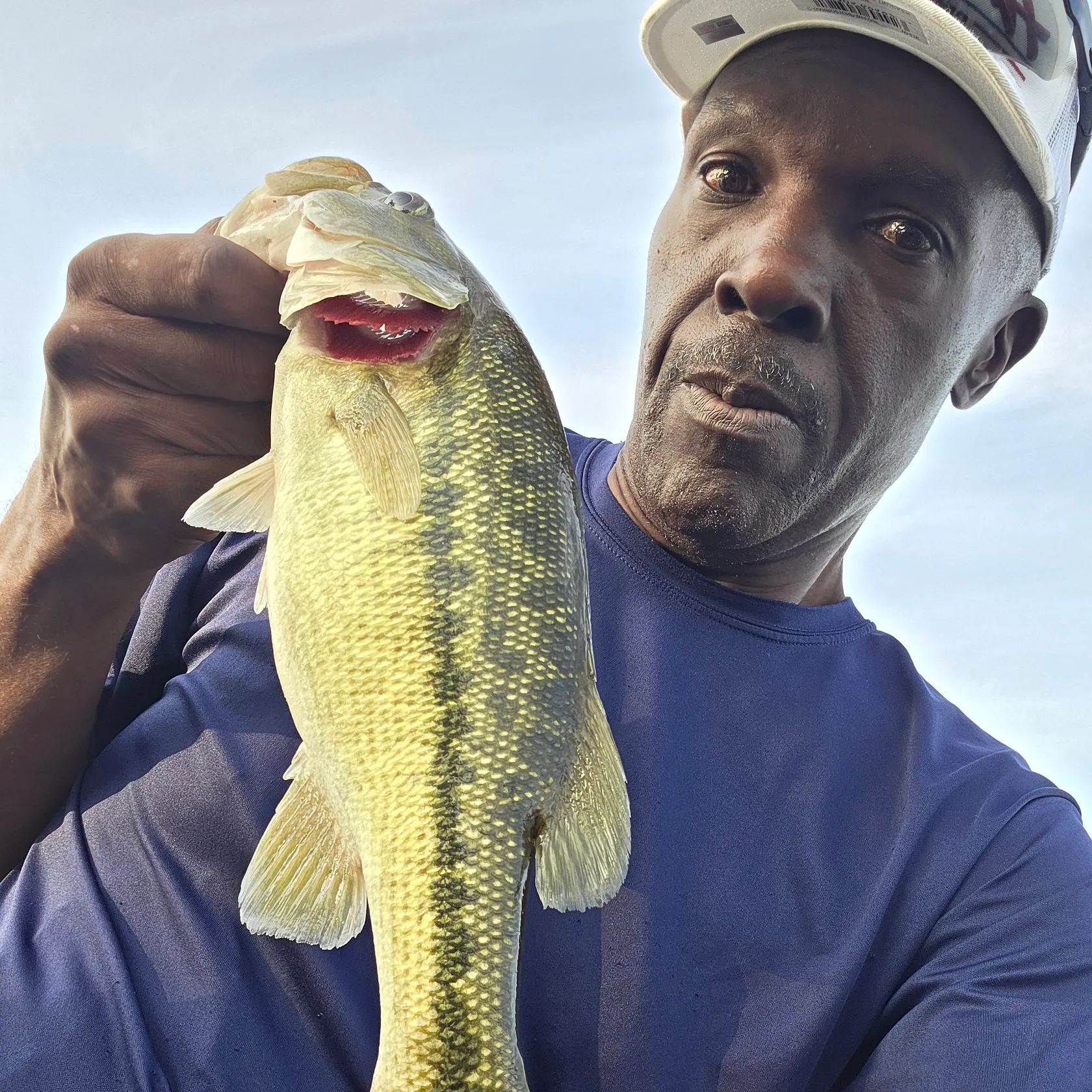 Spotted bass caught on Fishbrain