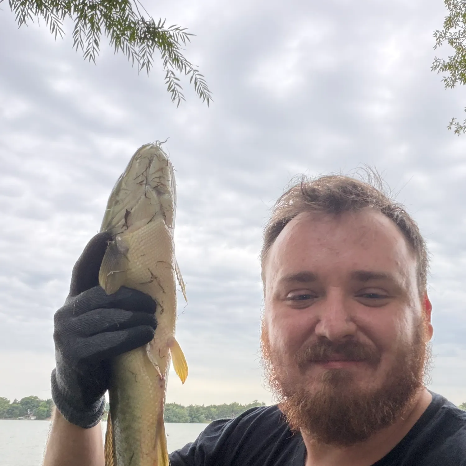 Eyetail bowfin caught on Fishbrain