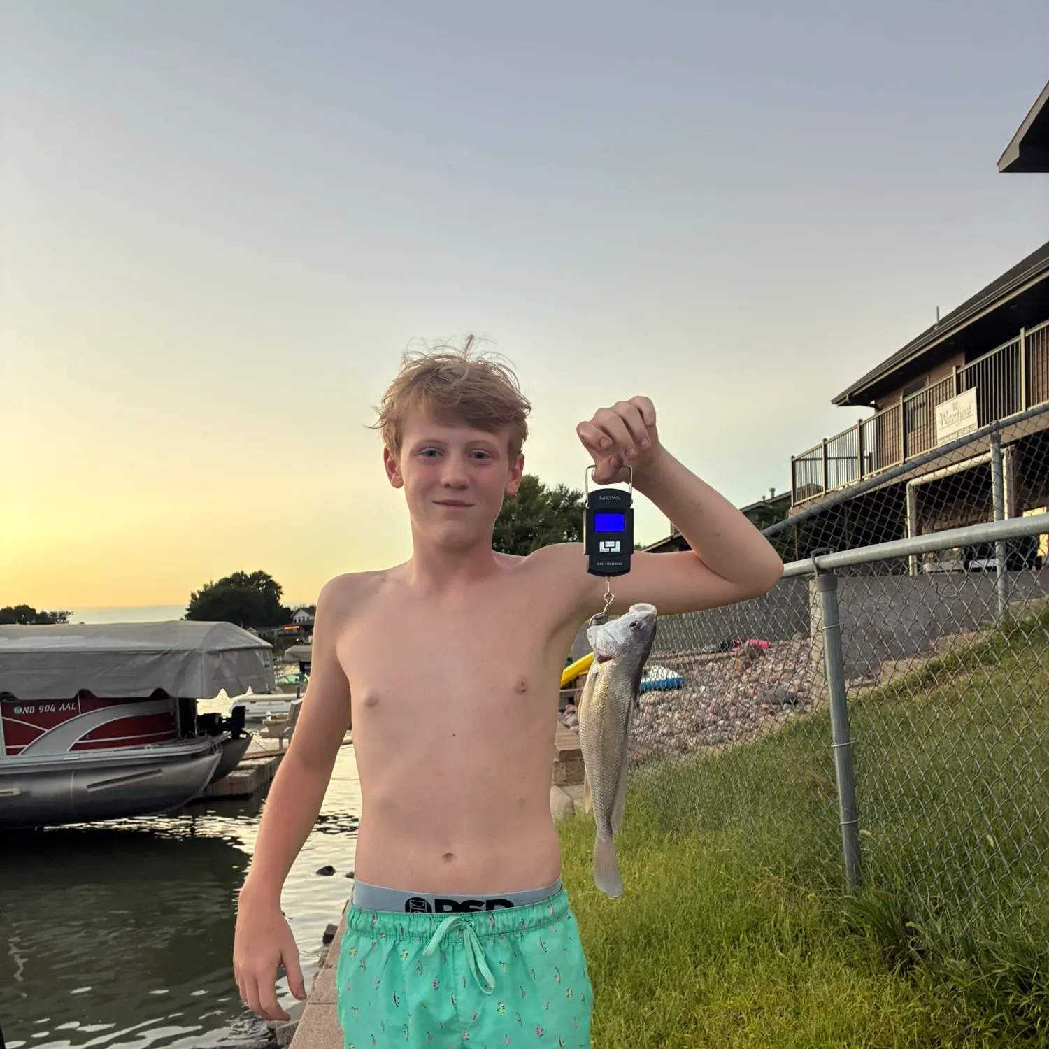 Freshwater drum caught on Fishbrain