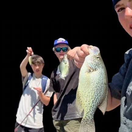 most liked catch image