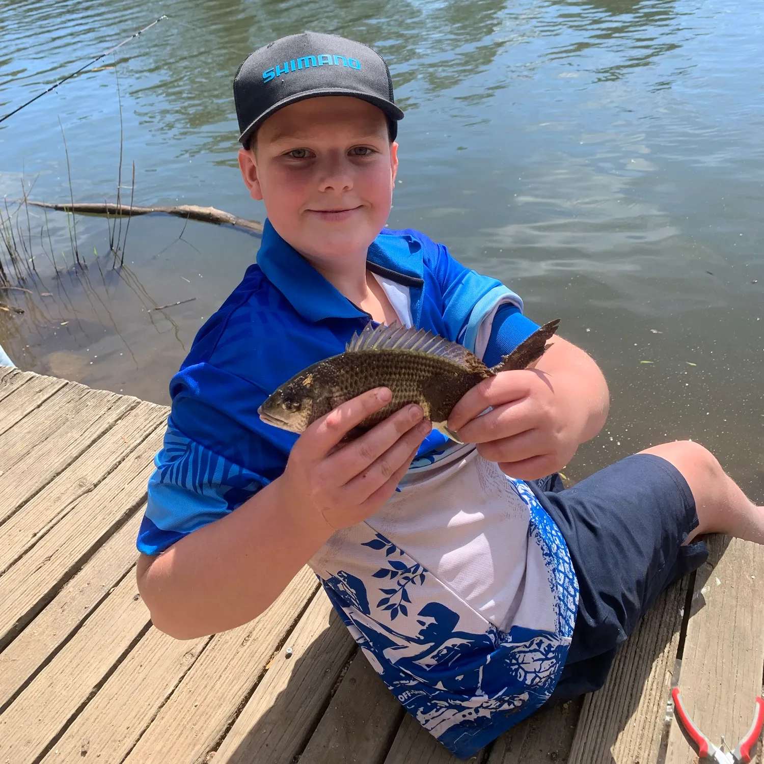 Southern black bream caught on Fishbrain