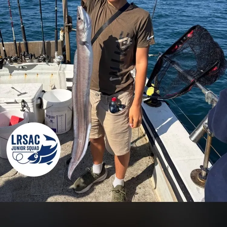 European conger caught on Fishbrain