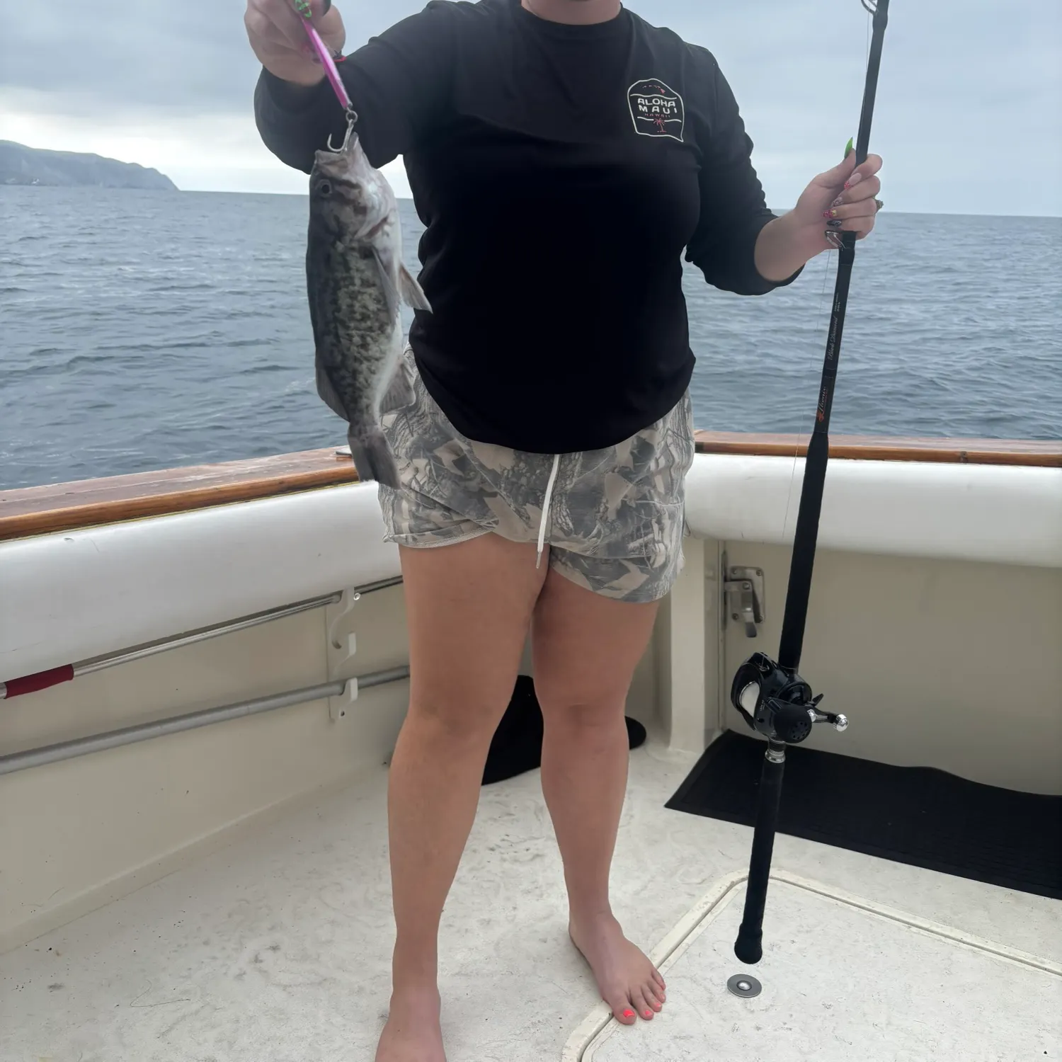 The most recent Blue rockfish catches on Fishbrain