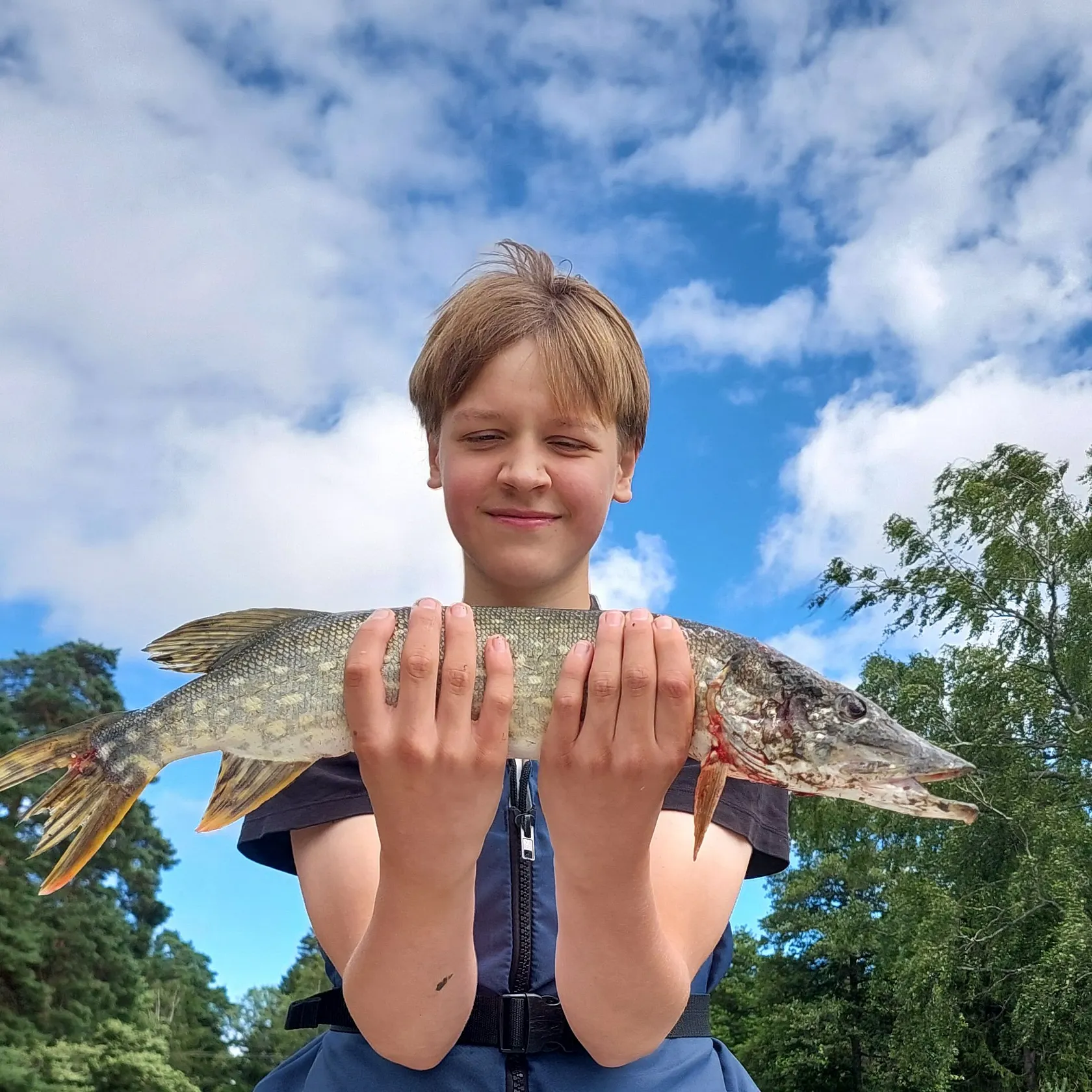 Northern pike caught on Fishbrain