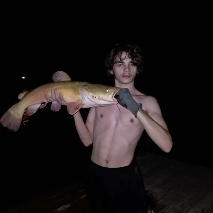 Flathead catfish caught on Fishbrain