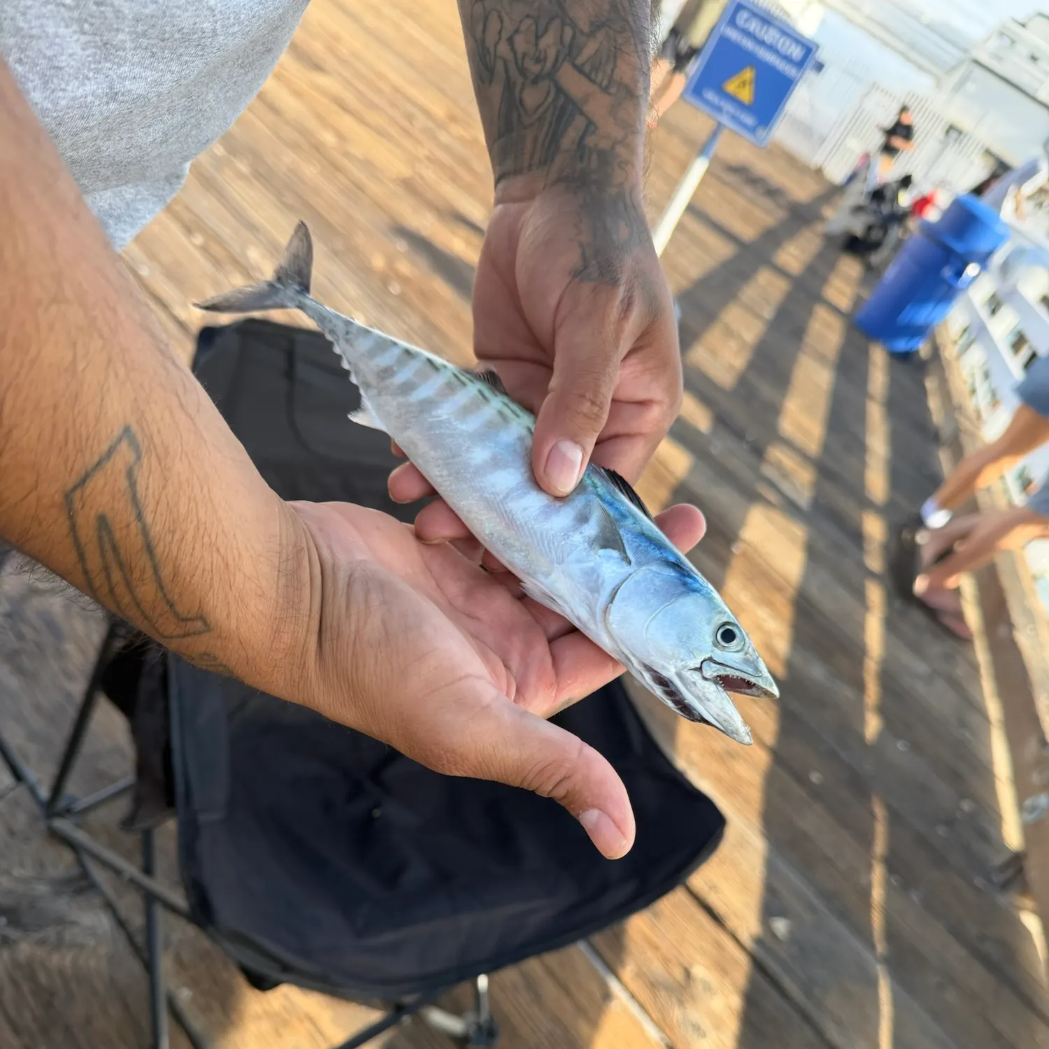 catch
