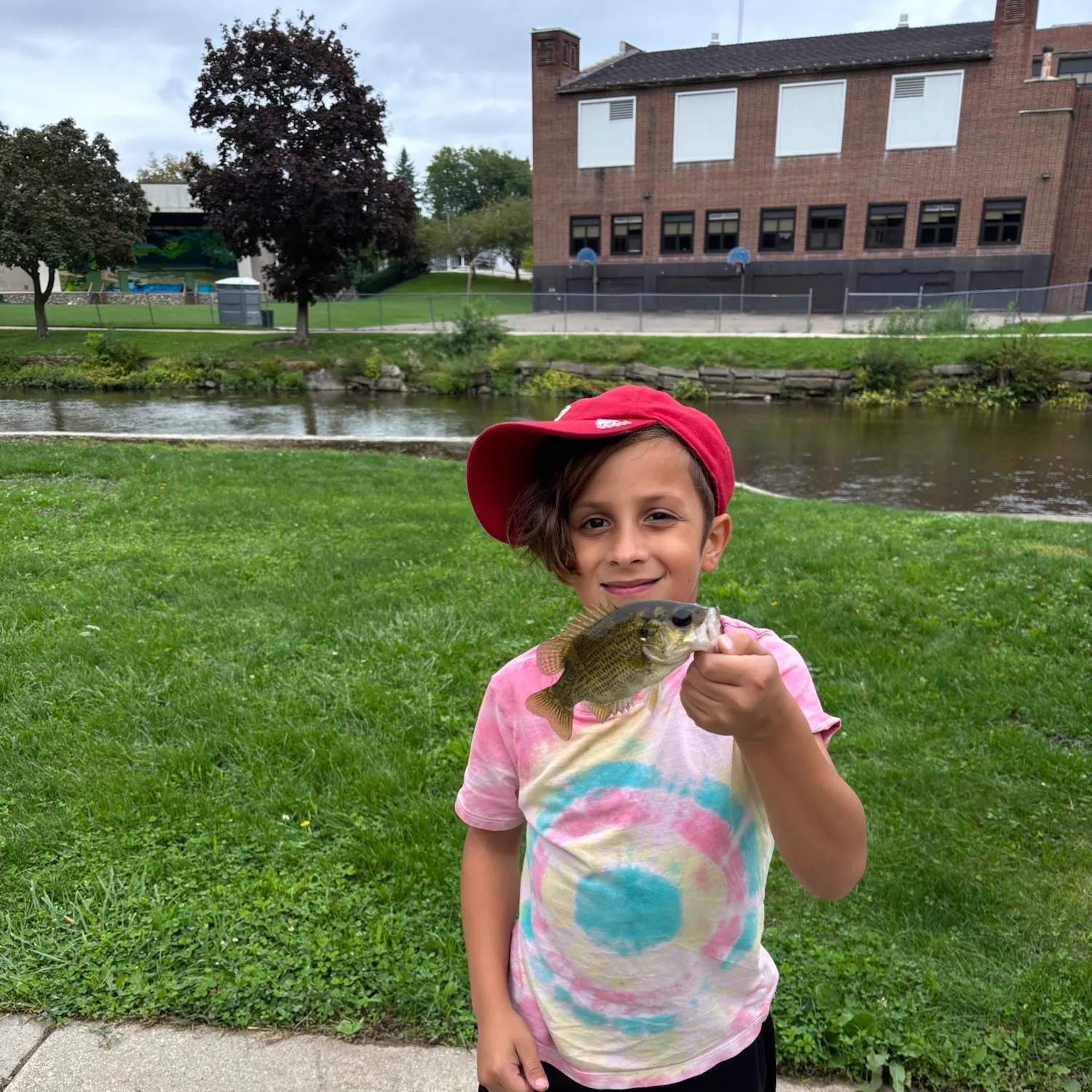 Rock bass caught on Fishbrain