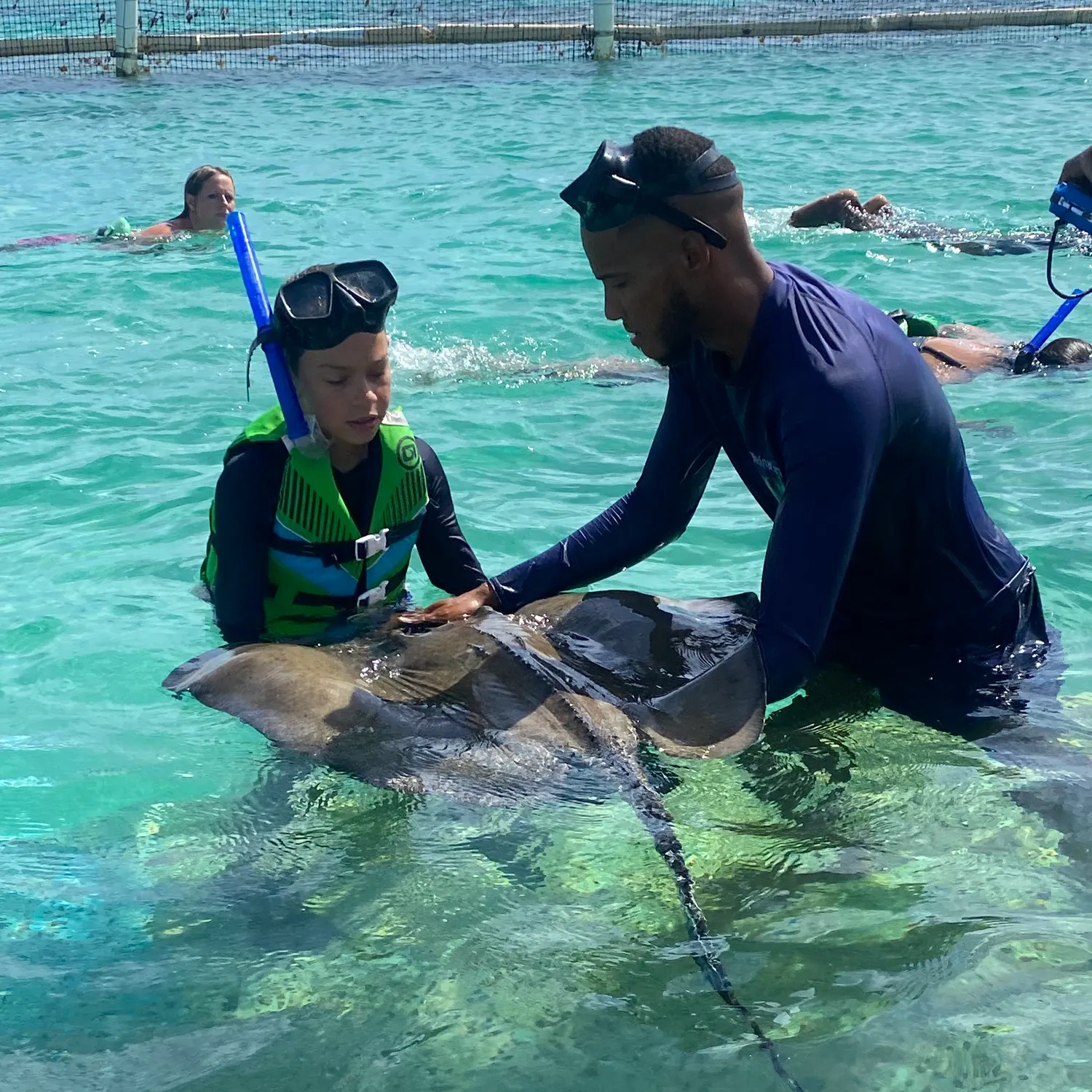 The most recent Common stingaree catches on Fishbrain