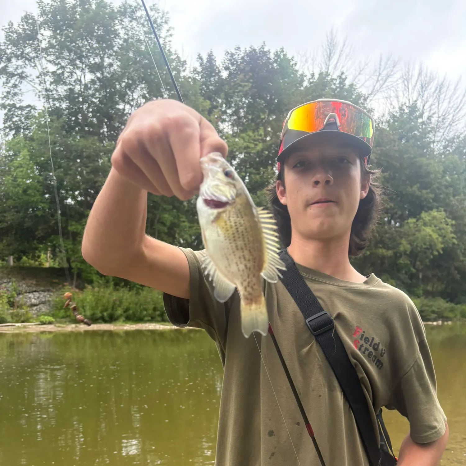 Rock bass caught on Fishbrain