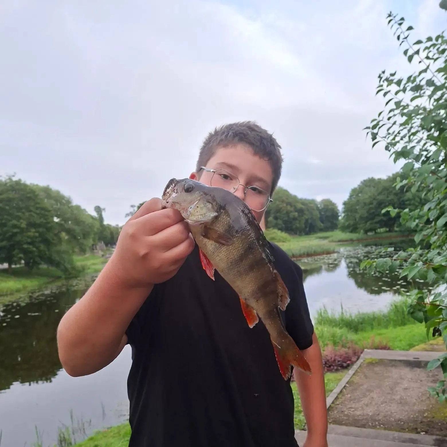 European perch caught on Fishbrain