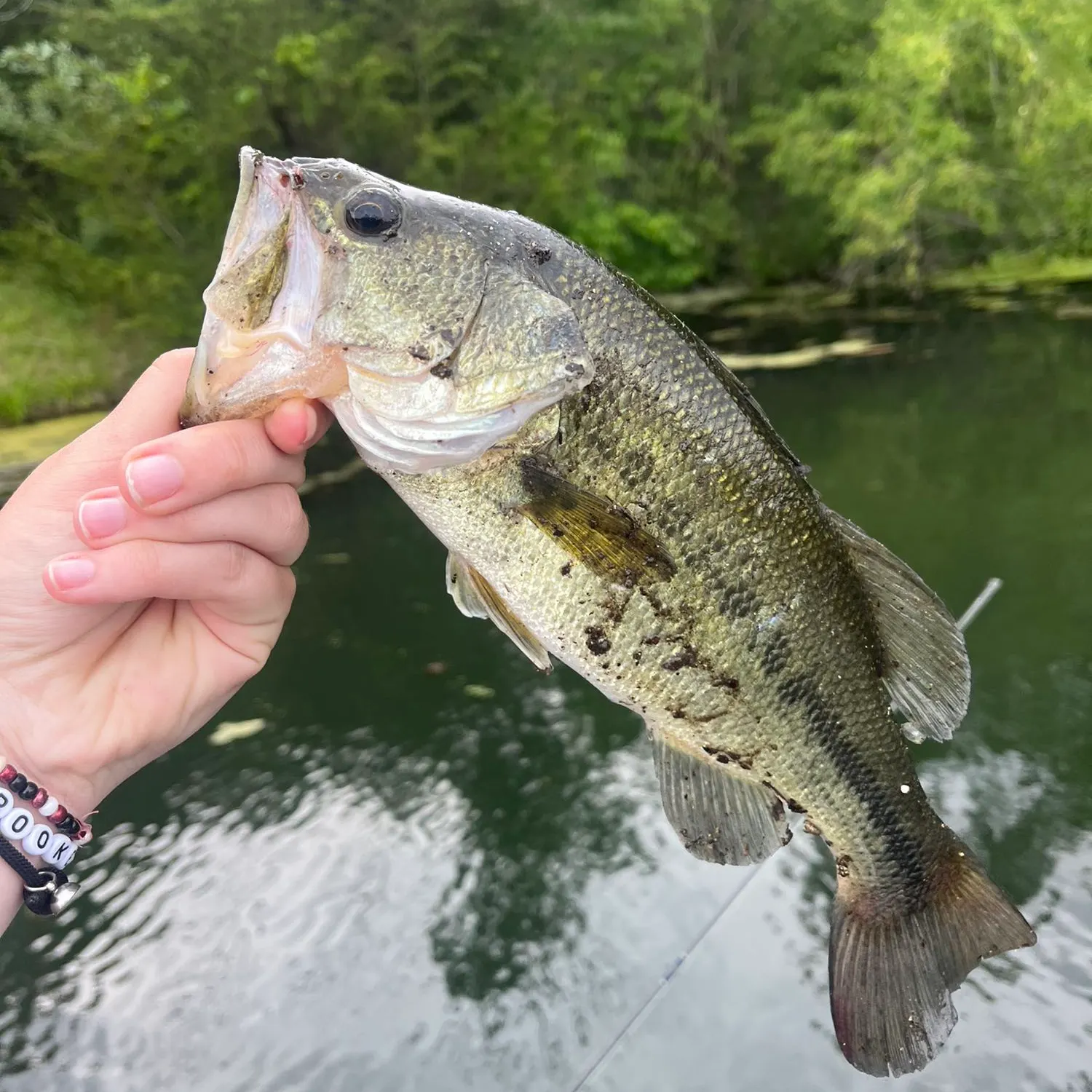 ᐅ Barwell Lake fishing reports🎣• Congerville, IL (United States) fishing