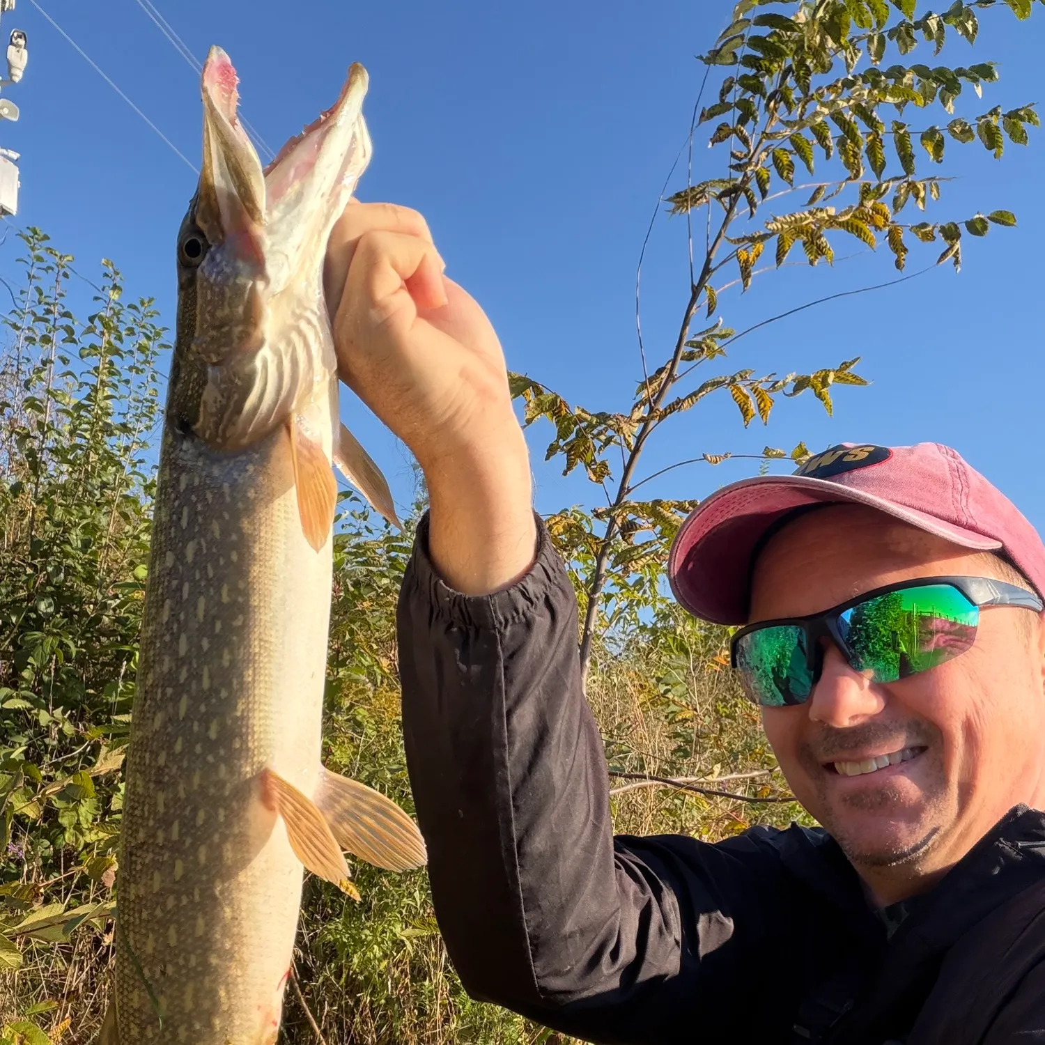 Northern pike caught on Fishbrain
