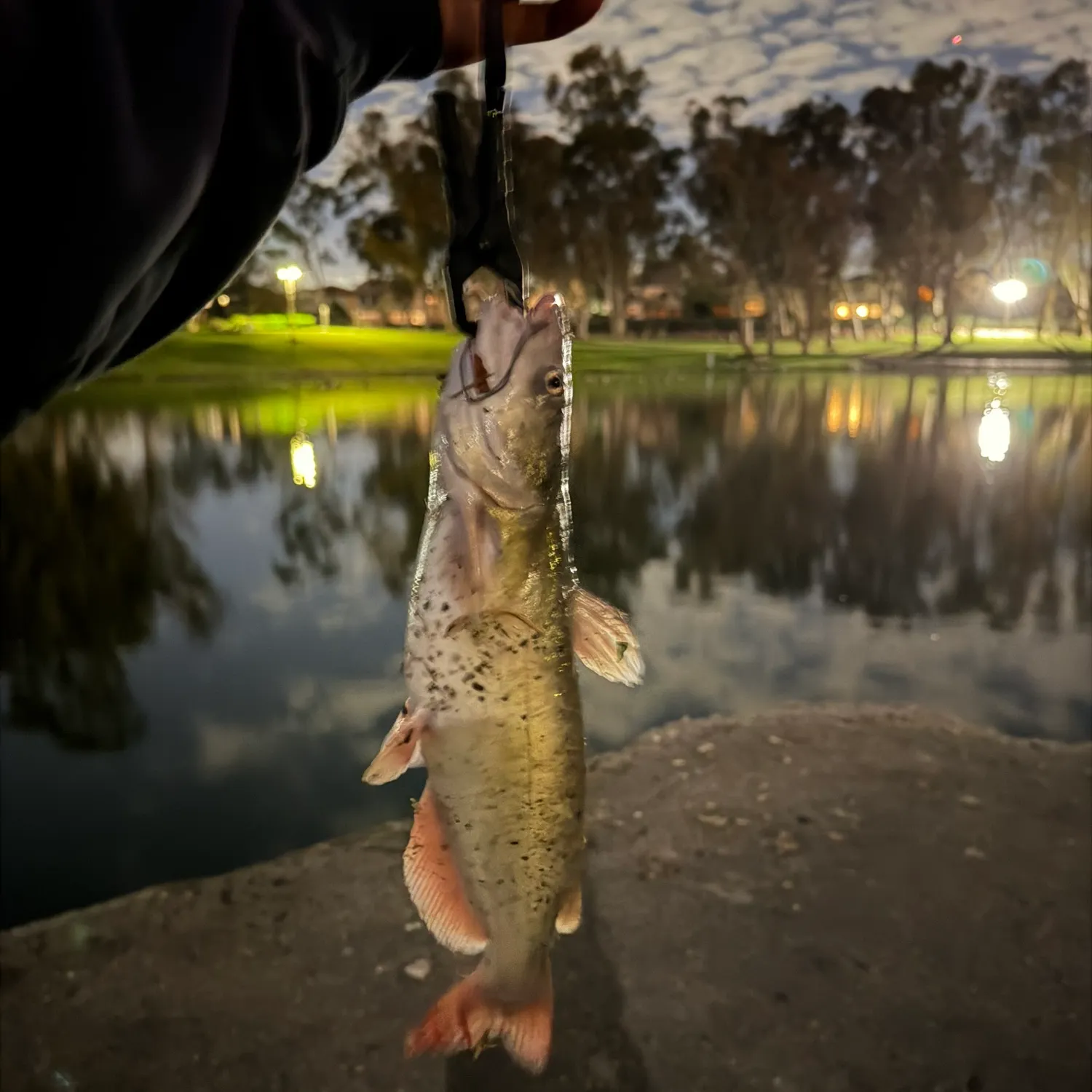 catch
