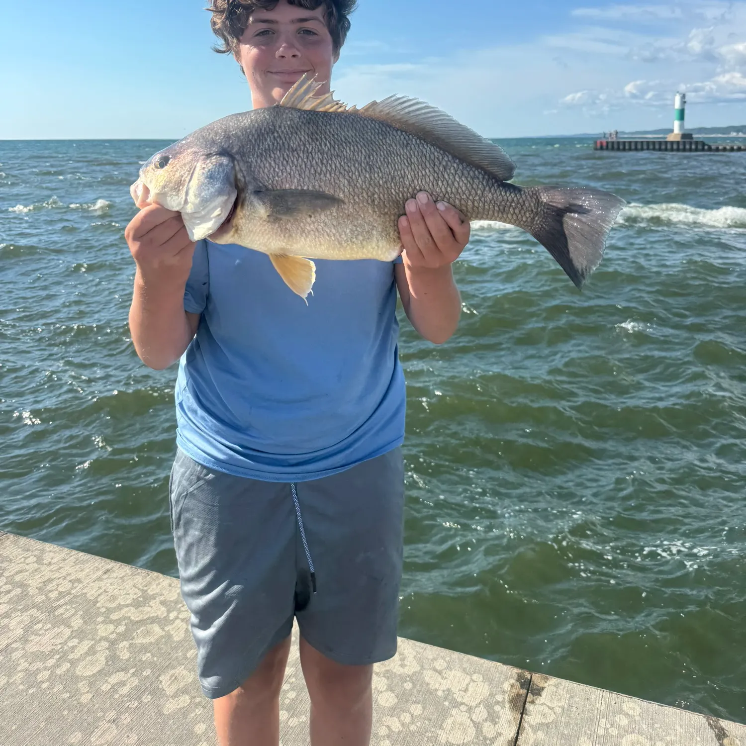 The most recent Freshwater drum catches on Fishbrain
