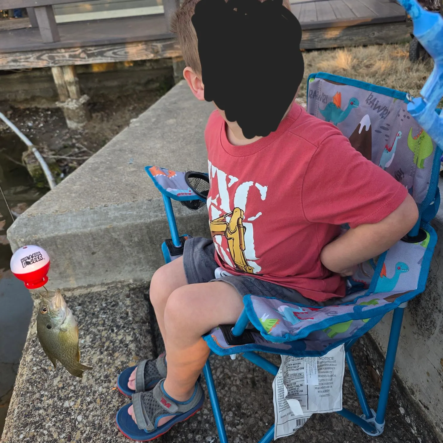 The most recent Green sunfish catches on Fishbrain