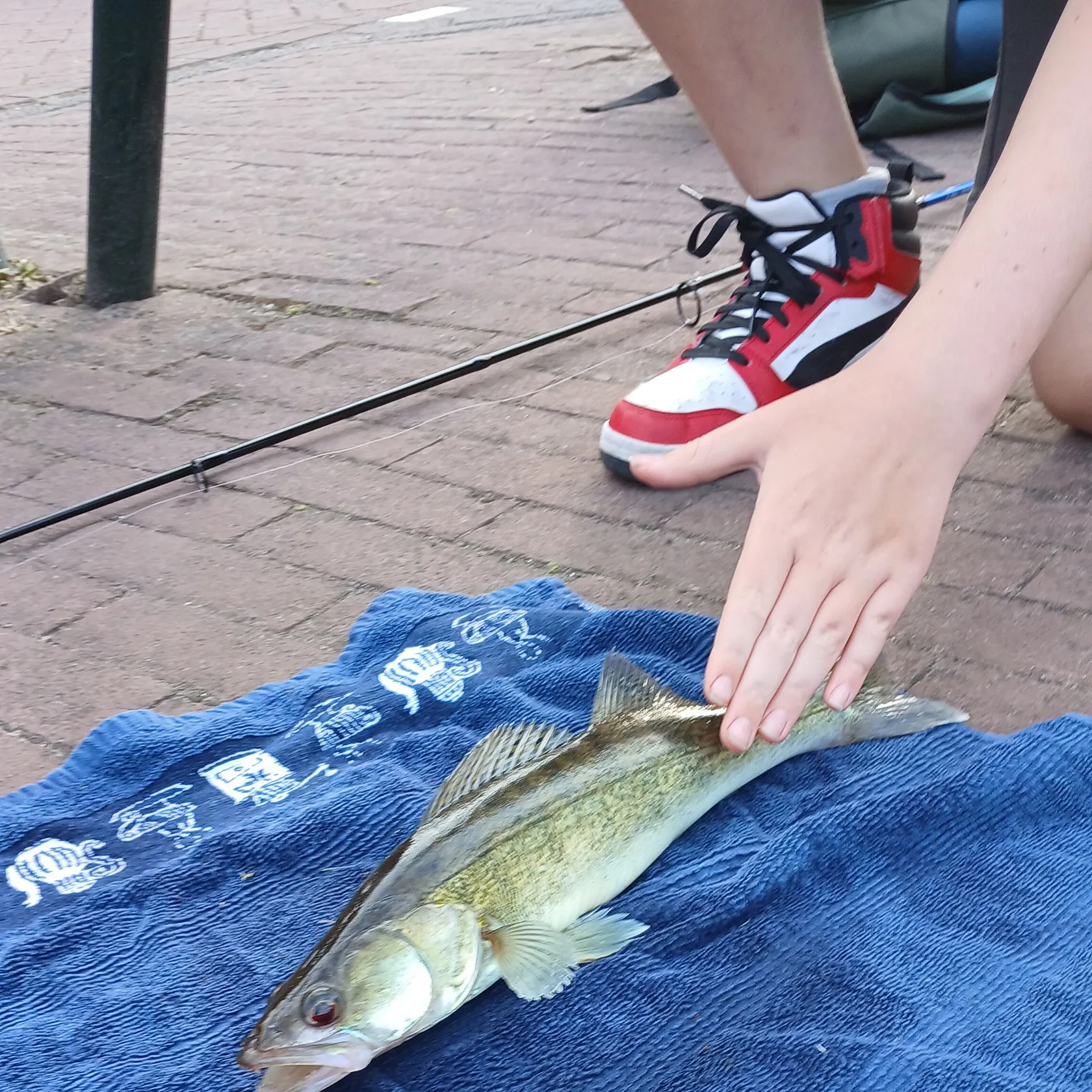catch
